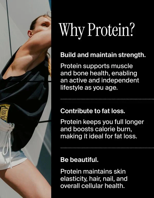 David Protein Bars (12 Bars) - Sugar-Free, High-Protein Snacks